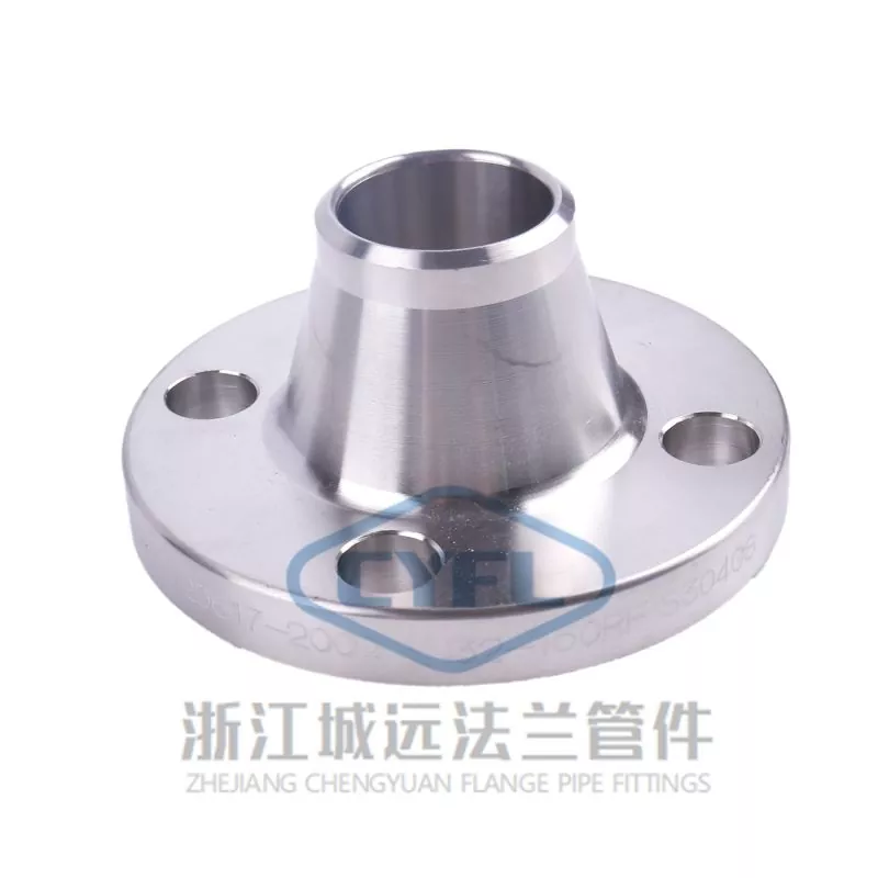 304 Stainless Steel Weld Neck Flange